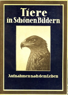  - Tiere in schnen Bildern