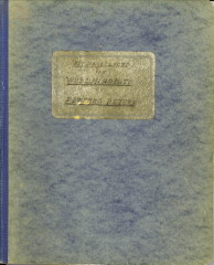 BODD, J.J. - Het nageslacht van Wijbe Mindelts en Dewerke Peters