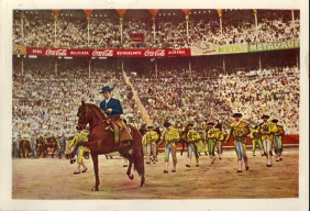 ROSELL, JAIME - Toros. Visin grfica de la fiesta nacional Espaola / Taureaux, Vision graphique de la fete nationale Espagnole / The bull-fight. Graphic vision of the Spanish National Feast / Der Stierkamp. Illustrierte Darstellung des Spanischen Nationalfestes