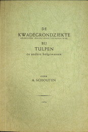 SCHOUTEN, ALET - De kwadegrondziekte ( sclerotium (rhizoctonia) tuliparum kleb. ) bij tulpen en andere gewassen