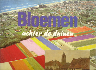 AMSTERDAM, HERMAN VAN; VOORT, PETER VAN DER M.M.V. DUBBELAAR, LEO - Bloemen achter de duinen