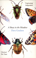 GOULSON, DAVE - A buzz in the meadow