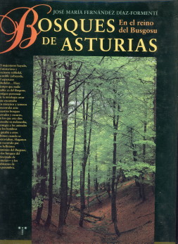 DIAZ-FORMENTI, JOS MARIA FERNANDEZ - Bosques de Asturias en el reino del Busgosu