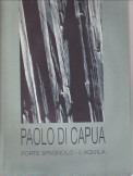 MASI, ALESSANDRO ( A CURA DI) GASBARRINI, ANTONIO E MONALDI, LAURA ( TESTI DI) - Paolo di Capua. Forte Spagnolo - L'Aquila